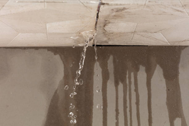 Professional Structural Drying technician working in Parrottsville, TN